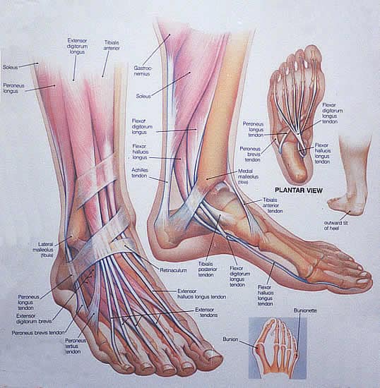foot injury
